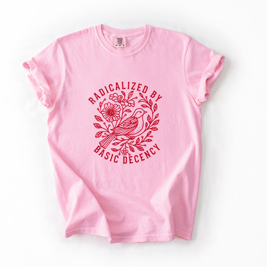 Radicalized by Basic Decency Comfort Colors T-Shirt